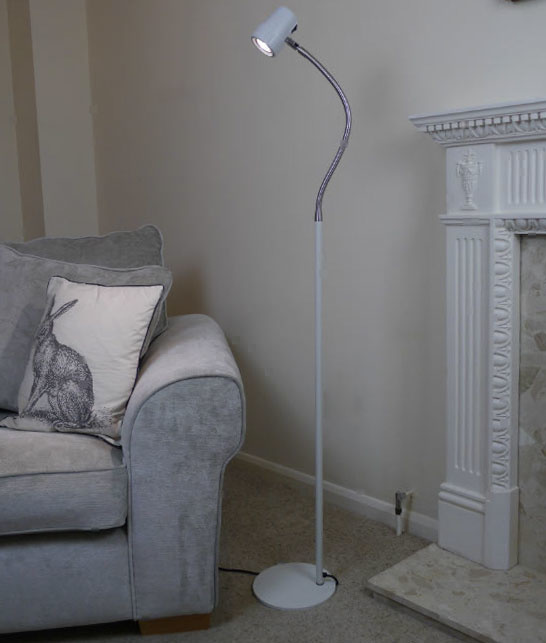 Alex LED Floor Reading Light by Serious Readers