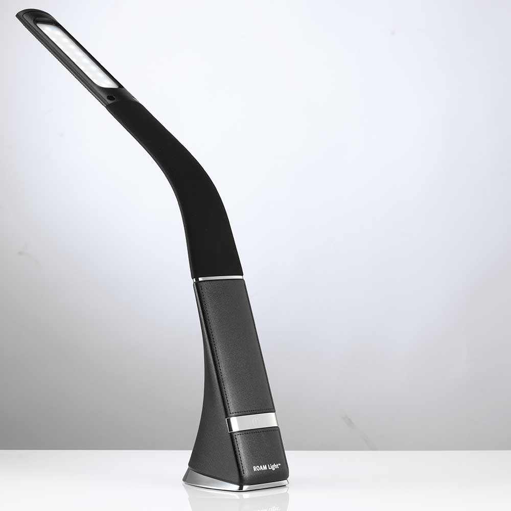ROAM Light™ by Serious Readers