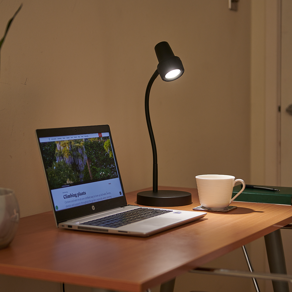 Compact Cordless Powerful Reading Light Serious Readers